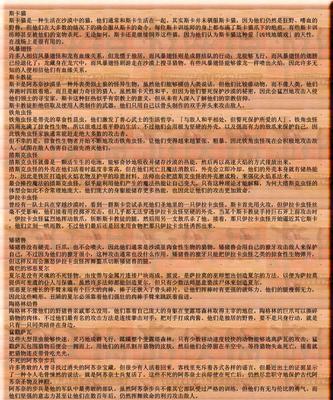 探索地牢围攻2任务攻略支线（发现地牢围攻2任务攻略支线的秘密，助你在游戏中取得更大胜利）