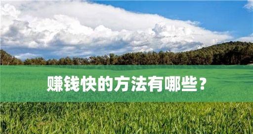 如何通过免费软件实现快速赚钱？（探索免费软件的商业潜力及最佳实践）