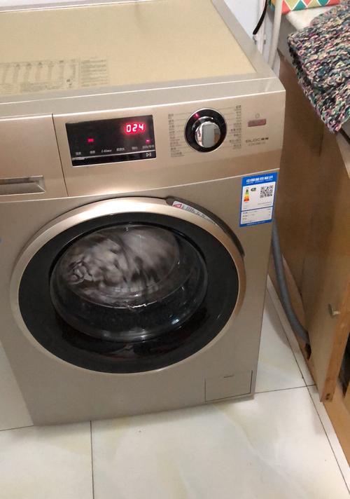 海尔全自动洗衣机拆卸清洗教程（细致入微的清洗方法，让洗衣机更持久）