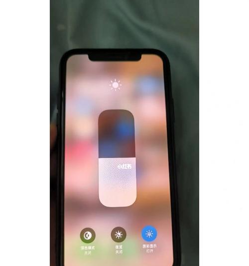 iPhone面容ID失效处理技巧（解决面容ID失效问题的方法及技巧）