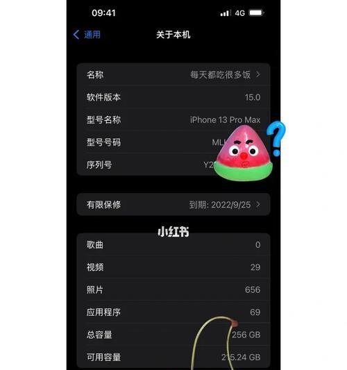 苹果系统升级的方法与技巧（轻松掌握苹果系统升级，让您的设备始终保持更新）