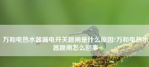 插座一插就跳闸问题的解决方法（避免电路超载，保护家居安全）