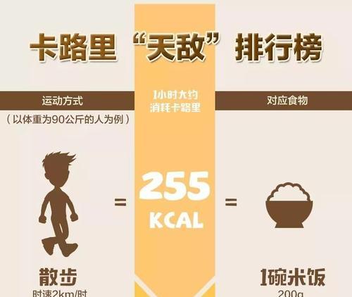 探究食物热量计算方法（了解食物热量计算的重要性及具体实施方法）
