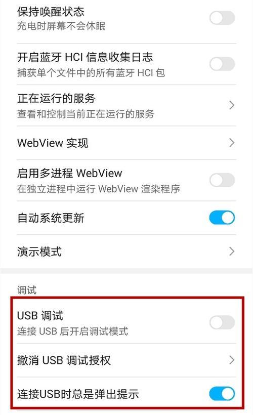 如何打开开发者模式？（详细介绍如何在各种设备上打开开发者模式）