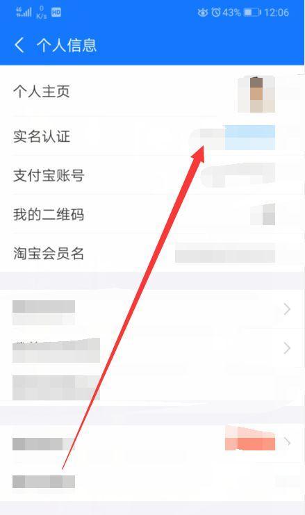 支付宝实名认证步骤详解（支付宝实名认证流程及注意事项）