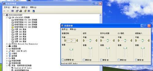 电脑没有声音的原因及解决方法（了解电脑无声的常见问题和解决方案）