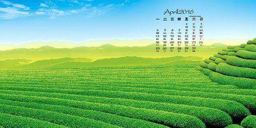 解决苹果11绿色掉漆问题的有效方法（苹果11绿色掉漆问题修复指南，有效保护你的手机外壳）
