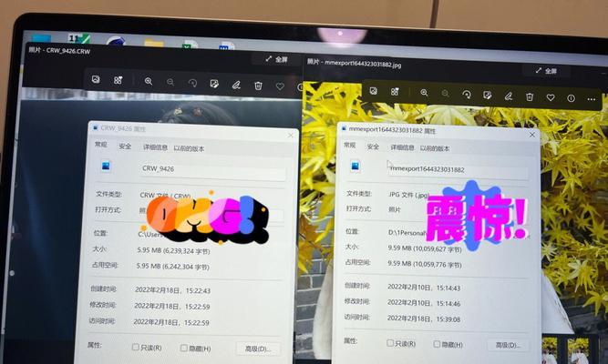 新手拍摄技巧（提升你的摄影技能，轻松拍出精彩照片）
