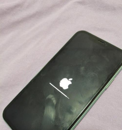 抢救进水iPhone的有效方法（保护你的手机不受水灾侵害，快速救援你的iPhone）