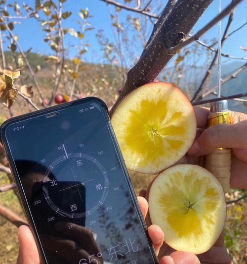 使用iPhone轻松测量海拔高度（利用iPhone的内置功能获取精确的海拔信息）
