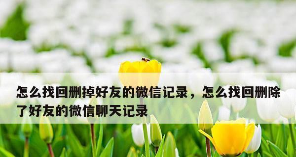微信聊天记录的主动删除与找回方法（从误操作到数据恢复，你需要知道的关键信息）