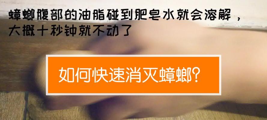 电饭煲被蟑螂入侵了怎么办（有效应对电饭煲中的蟑螂问题）