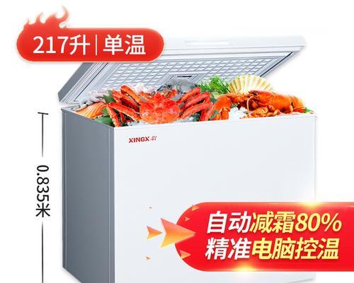 星星冰柜的故障及修复方法（解决星星冰柜故障的关键步骤与技巧）