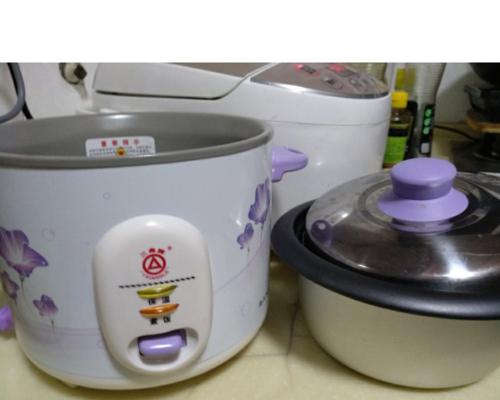 探究三角牌电饭煲老跳的原因及解决方法（解密电饭煲老跳背后的秘密）
