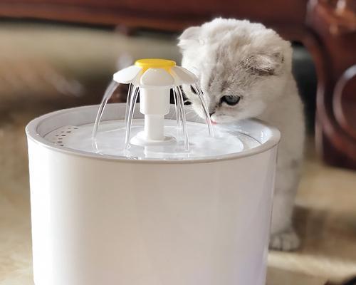 如何有效防止猫饮水机发霉（探索清洁猫饮水机的有效方法）
