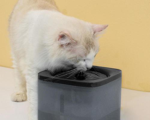 如何有效防止猫饮水机发霉（探索清洁猫饮水机的有效方法）