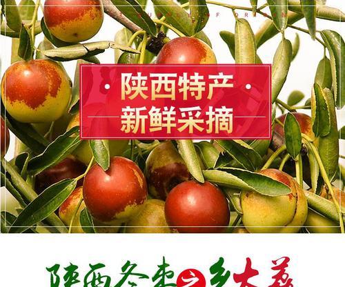 以青枣可以放冰箱保存吗（青枣放冰箱的适用条件和注意事项）