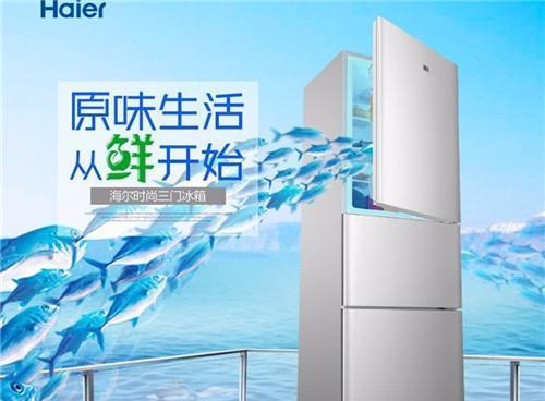 如何清洗海尔冰箱水管（简单、有效的清洗方法）