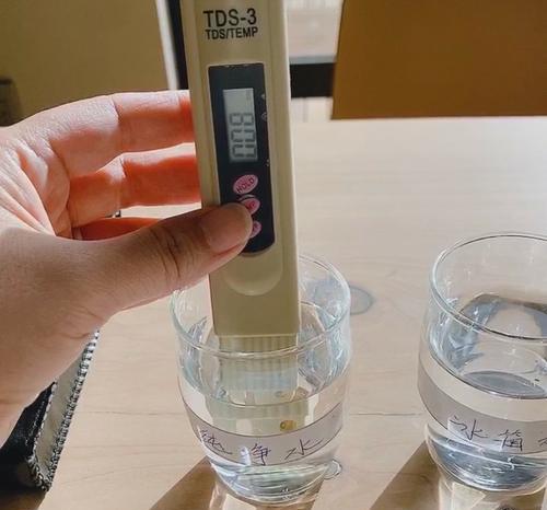 净水器水里有绿苔怎么办（解决净水器水中绿苔问题的有效方法）