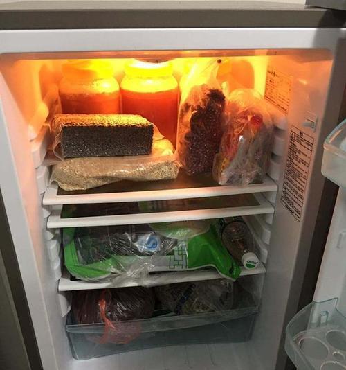 冰箱震动发热不制冷（诊断家用冰箱失去制冷能力的常见问题和解决方案）