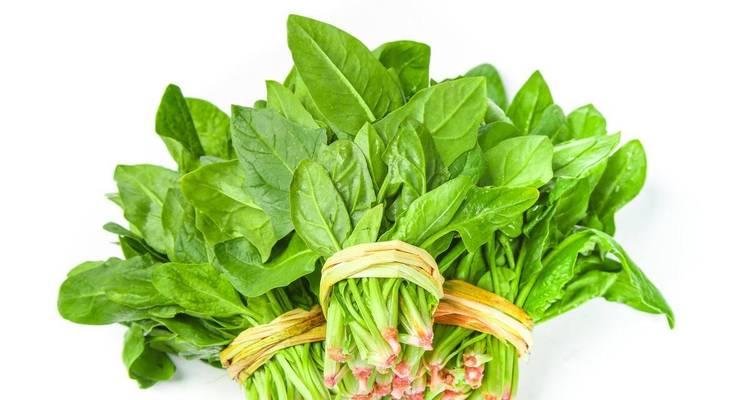 属于叶酸的食物有哪些（探索叶酸的丰富程度与益处）