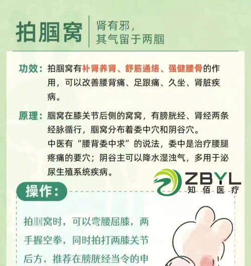 缓解腰酸背痛的有效方法（探索舒缓腰酸背痛的自然疗法）