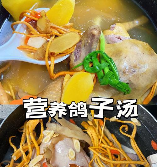 炖鸽子汤的配料窍门（打造美味炖鸽子汤的关键是选对配料）