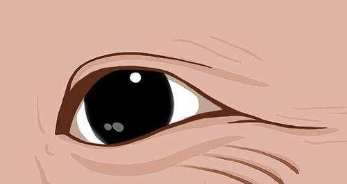 揭秘眼皮跳的三大原因（解读眼皮跳动的主要诱因）