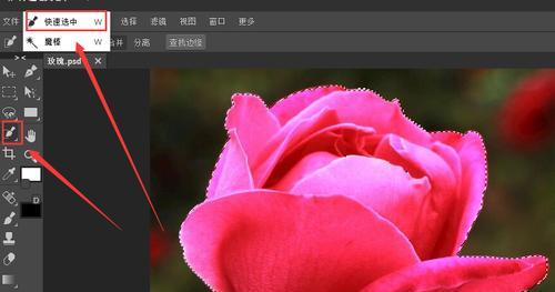 简单的PS抠图方法（掌握一招搞定抠图）