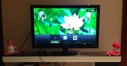 新换的显示器屏幕暗怎么办（解决方法及注意事项）