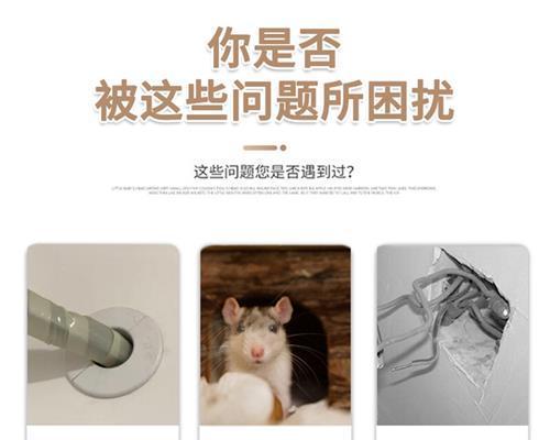 应对空调管道中的老鼠问题（解决室内空调管道受到老鼠干扰的方法及注意事项）