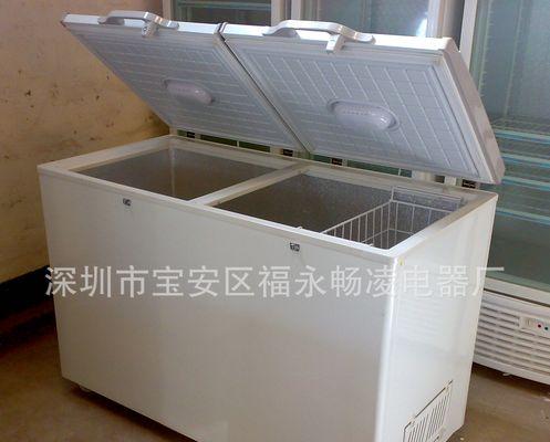 冰柜冻肉的妙用（掌握正确的冻肉方法）