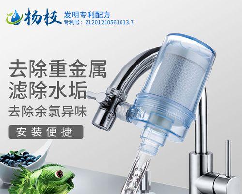 解决净水器管子水垢问题的有效方法（如何清除净水器管道内的水垢）