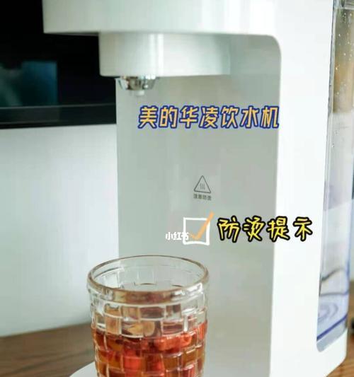 如何正确清洁热式饮水机（简单易行的清洁方法）