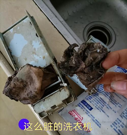 如何清洗洗衣机内胆（简单有效的洗衣机清洁方法）