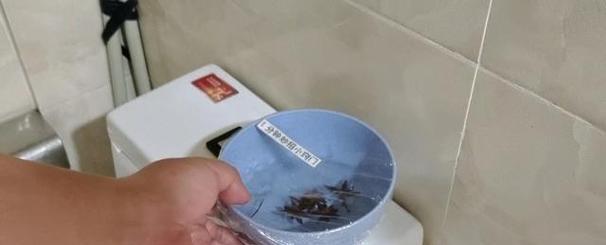 冰箱内小飞虫怎么处理（快速解决冰箱内小飞虫问题）