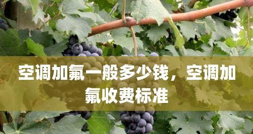 了解以空调加氟收费标准，合理维护空调设备（掌握加氟费用参考）