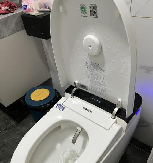 马桶灯闪烁原因及解决方法（探究欧路莎马桶水温灯闪烁的原因）