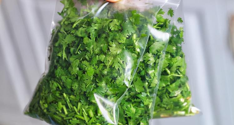香菜在冰箱里的妙用（如何保存和利用冷藏香菜的最佳方法）