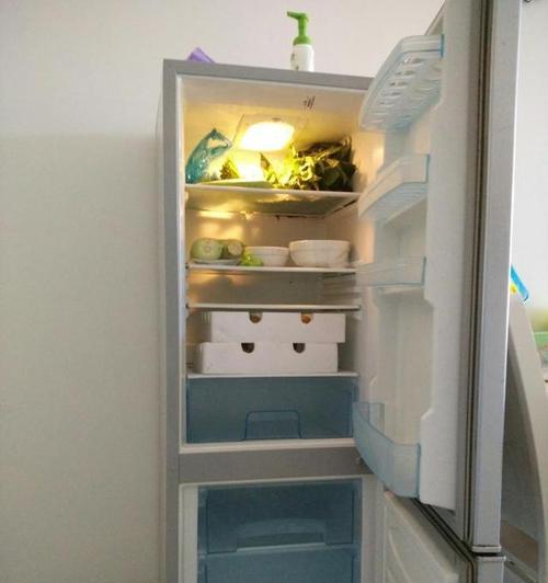 冰箱翻倒后的修复方法（如何处理冰箱翻倒引发的问题）