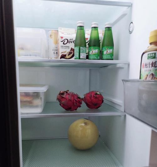 冰箱失效，食物不保鲜不制冷的危机（保持冰箱清洁卫生）