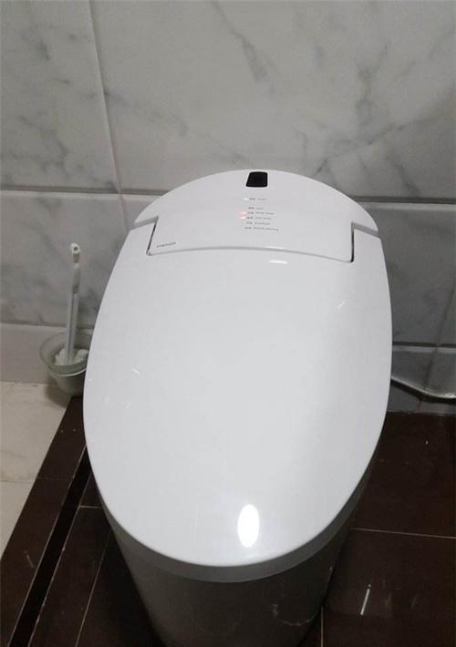 法恩莎马桶冲不干净的解决方法（探寻法恩莎马桶冲不干净的原因及解决之道）