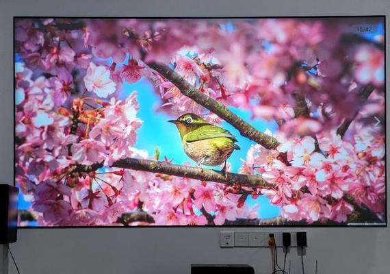 电视机屏幕模糊原因解析（为什么电视机屏幕会变得模糊不清）