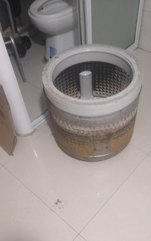 如何正确清洗洗衣机（保养维护与使用技巧）