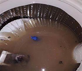 如何正确清洗热水器（掌握热水器清洗方法）