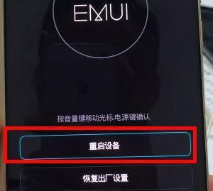忘记电脑密码了怎么办（如何解决忘记电脑密码的问题）