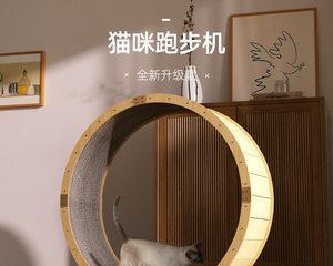 如何让猫咪追上跑步机（解决猫咪对跑步机不感兴趣的方法）