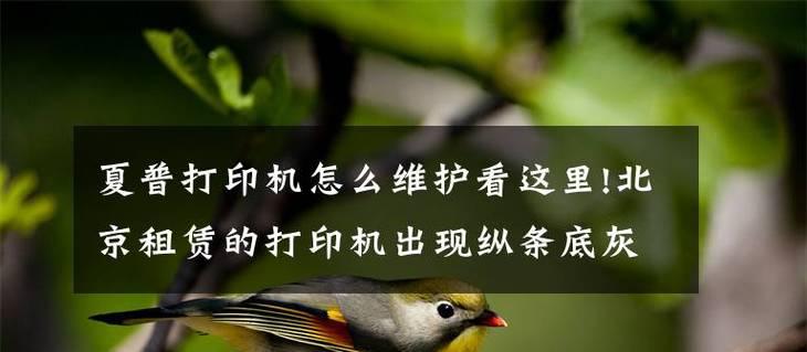 夏普复印机复印有底灰代码的危害与解决办法（保护你的复印机免受底灰代码侵害的技巧与建议）