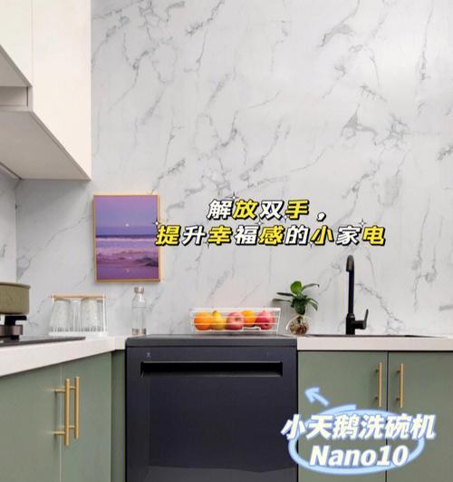 解决洗碗机侧边缝隙问题的实用方法（轻松解决洗碗机侧边缝隙问题的有效技巧）