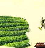 寻找国外企业的黄页和分类目录，了解免费外贸资源（方便快捷地掌握国外企业信息的关键途径和工具）